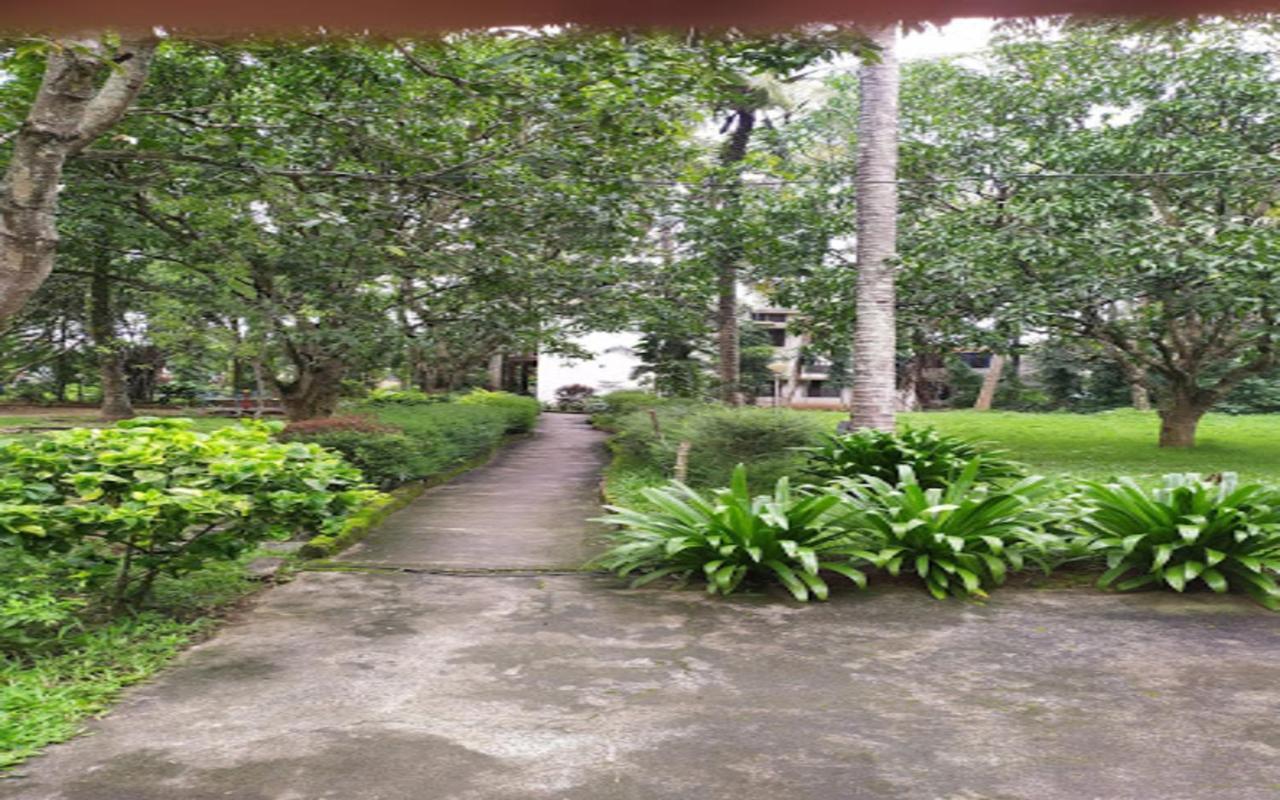 Coorg Green Farm Resort Kushālnagar エクステリア 写真