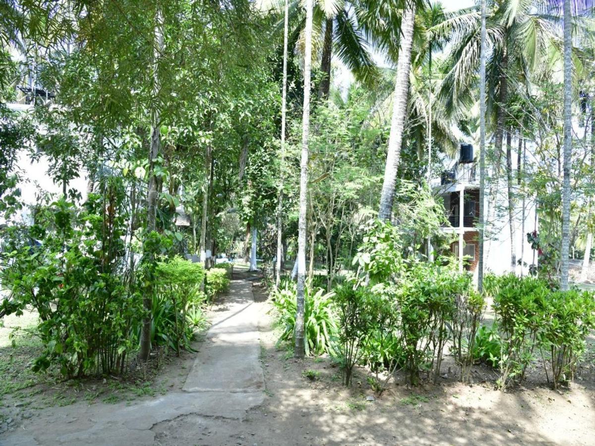 Coorg Green Farm Resort Kushālnagar エクステリア 写真