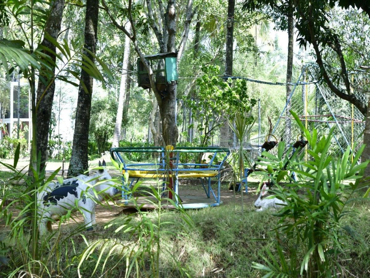 Coorg Green Farm Resort Kushālnagar エクステリア 写真